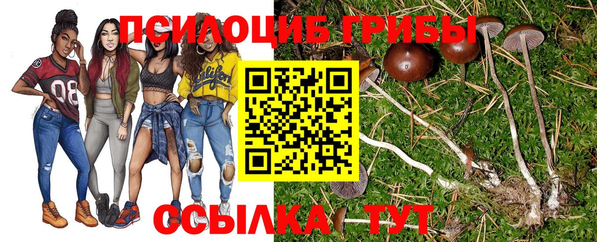 Меф МЯУ МЯУ  Конопля  МЕФ   Вход с VPN  МЕТ  МДМА  Новошахтинск  ГАШИШ  КОКАИН  Марихуана  ГАШ 