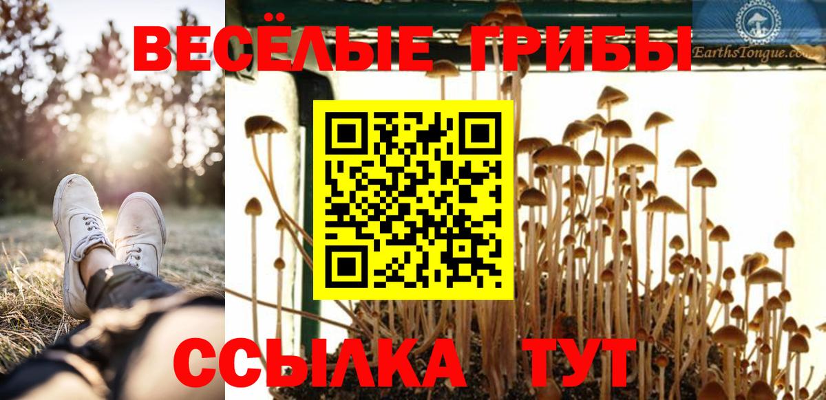 Галлюциногенные грибы GOLDEN TEACHER  Вход с VPN  Новошахтинск  Галлюциногенные грибы GOLDEN TEACHER 