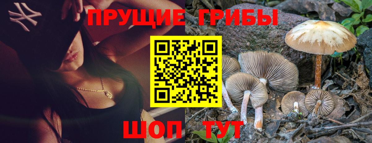 Галлюциногенные грибы мицелий Новошахтинск